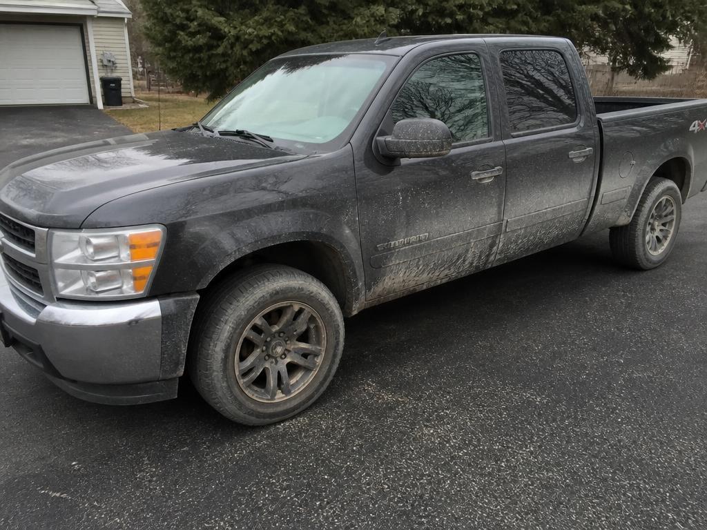 Exterior Wash & Gloss — before professional detailing